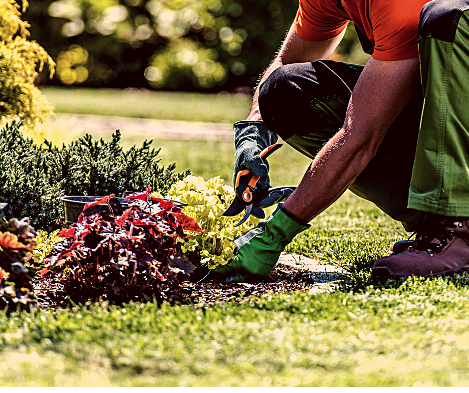 LANDSCAPE-MAINTENANCE