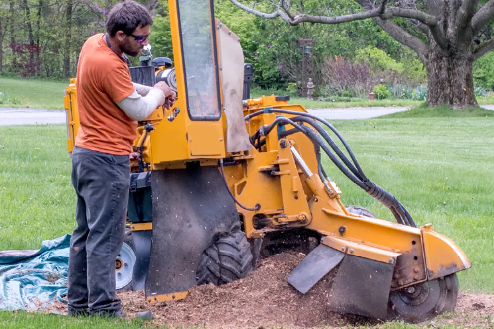 how-stump-grinding-works