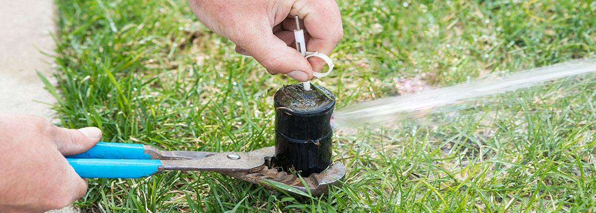 irrigation-systems-repair-and-maintenance