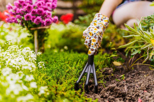 seasonal-garden-maintenance-01_520x500_3edaec1b-cdc6-4ef7-930e-e90a2beb3bc4