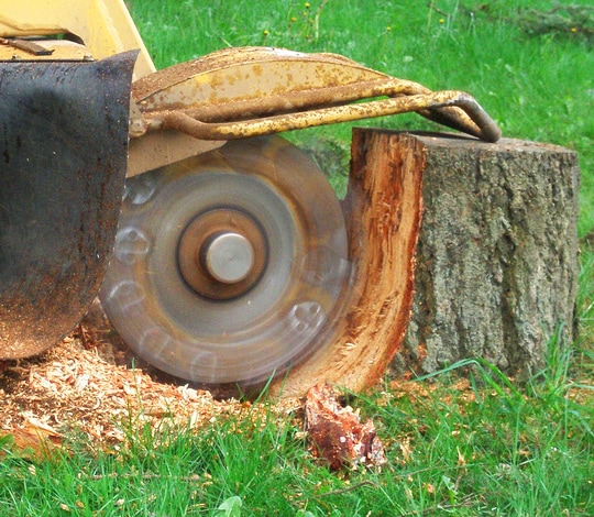 stump-grinding1